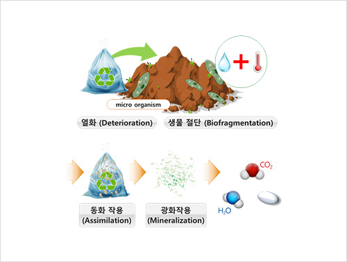 미생물에 의한 생분해 과정: 열화 및 생물 절단, 동화 작용, 광화작용을 거쳐 플라스틱이 CO2와 H2O로 분해되는 과정
